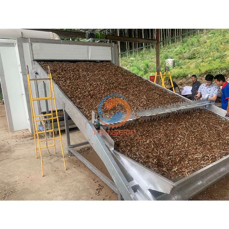 Herb Drying Line